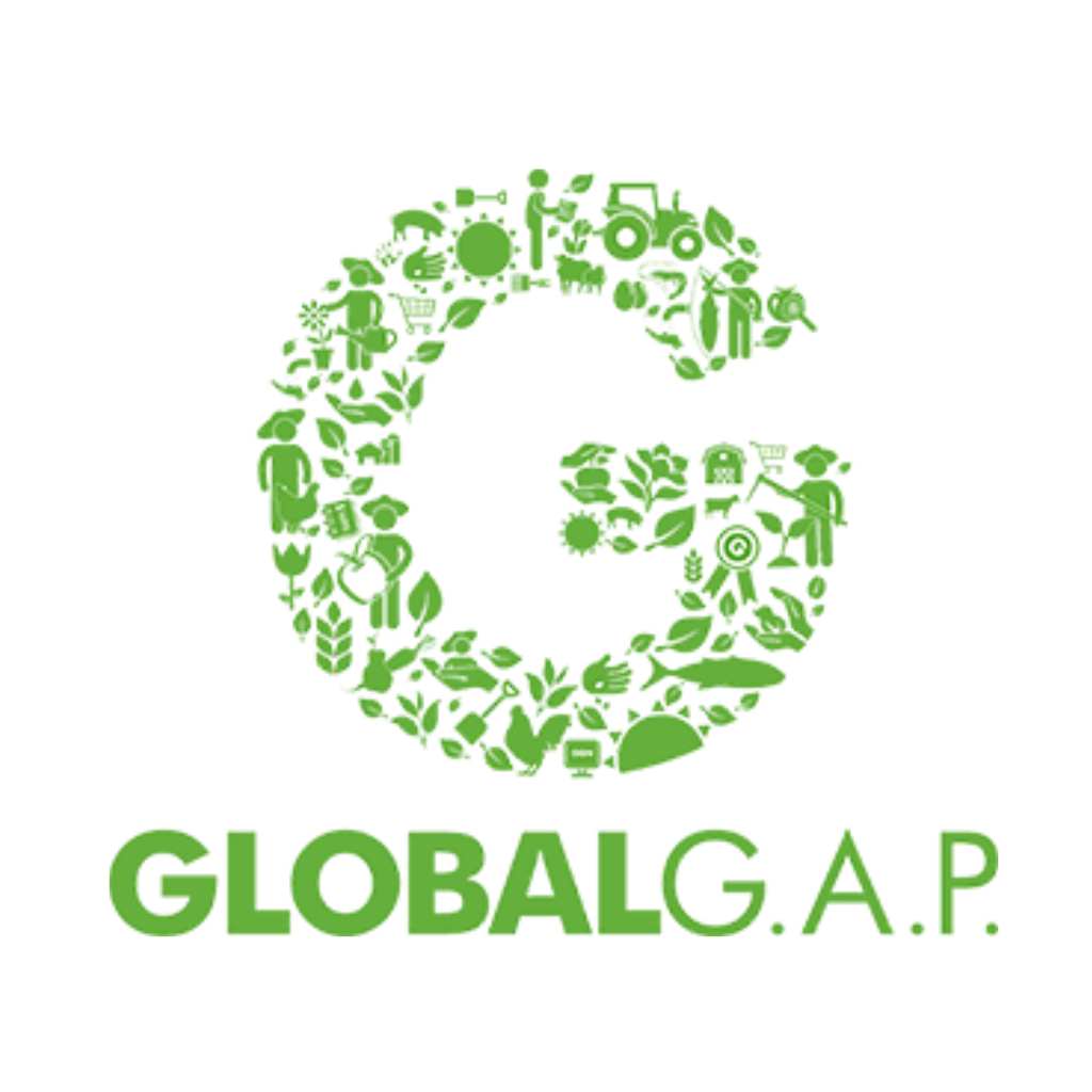 GAP Certificate